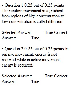 Quiz 5